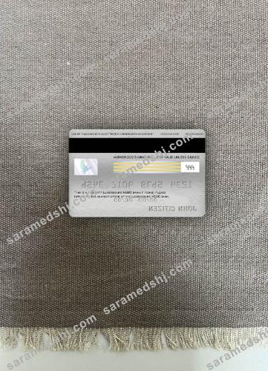 Luxembourg HSBC bank visa classic card photolook back